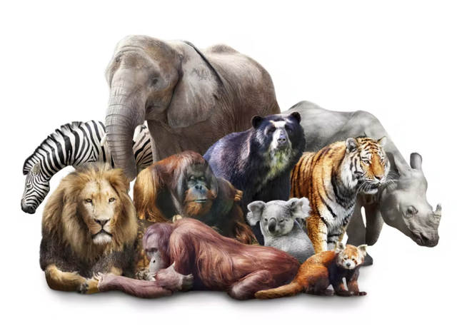 Los mamíferos aparecen en la tierra. (24 of november)