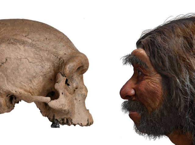 Aparece el homo Sapiens. (31 of december)