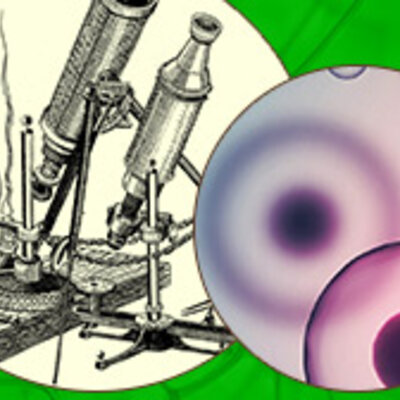 Timeline: Биологические открытия