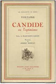 Voltaire Publishes "Candid"