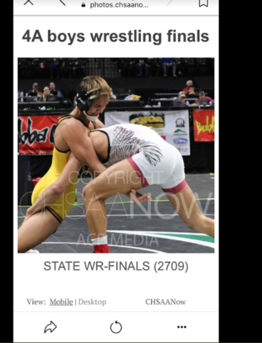 MAde the state finals