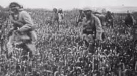 Timeline: world war 1