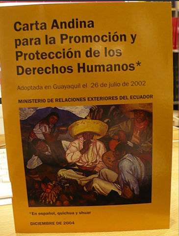 Carta andina protección y prevención de los derechos