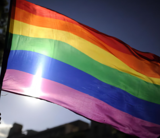 Despenalización la homosexualidad