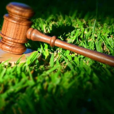 Timeline: EVALUACIÓN DE IMPACTO AMBIENTAL