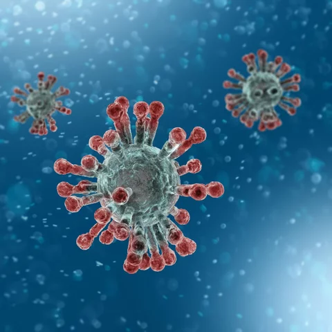 Corona virus