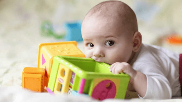 0-12 meses Desarrollo sexual