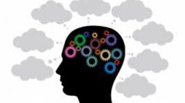 Timeline: A HISTÓRIA DOS DIREITOS HUMANO