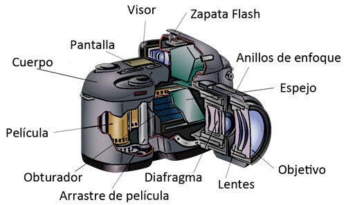 ¿Que es lo mas importante de las cámaras fotográficas?