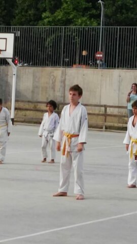 Je commençais le karaté