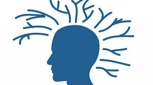 Drucker (2002) Competencias cognitivas