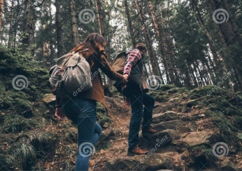 Fleeing To The Woods