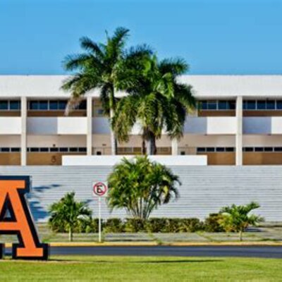 Timeline: Preparación Pre-Universitaria