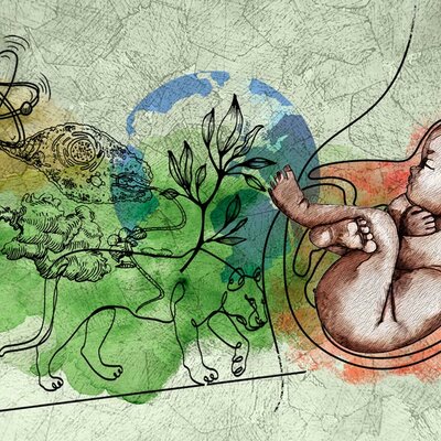 Timeline: ¿Qué me llevo a ser la persona que soy ahora?