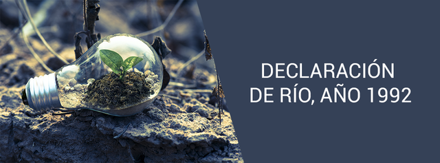 1992 Declaración del rio