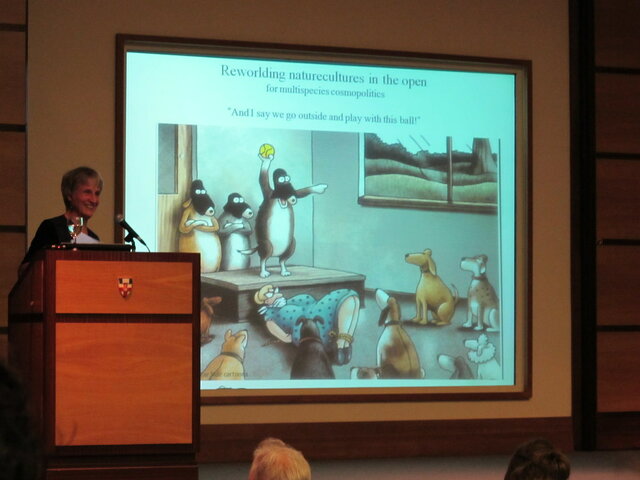 From Cyborgs to companion species