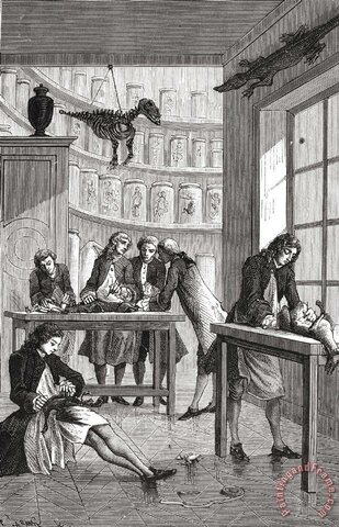 Primer programa de experimentación animal