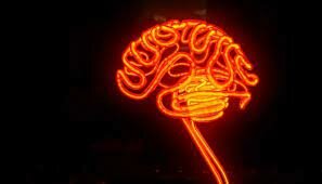 TEORÍA DE LAS INTELIGENCIAS MÚLTIPLES: ACTUALIDAD 2