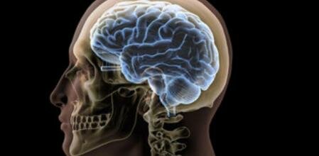 TEORÍA DE LAS INTELIGENCIAS MÚLTIPLES: ACTUALIDAD 2