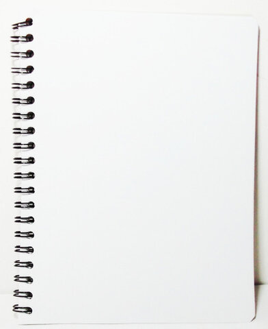 Conocemos al principito