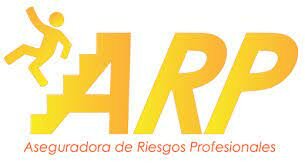 Ley 100, Decreto Ley 1295