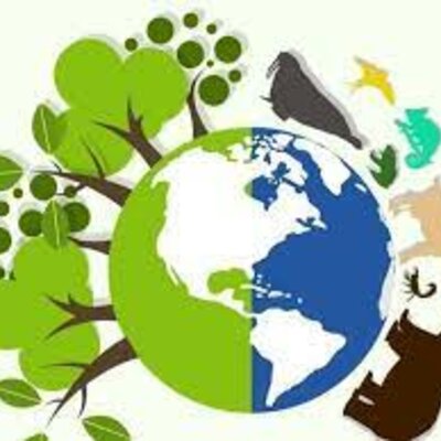 Timeline: Educación ambiental en Colombia