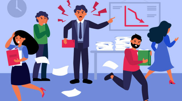 Decreto 2646, Ley 1010