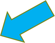 Fernández Bravo. Criterios de evaluación y sus cuatro apartados.