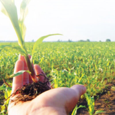 Timeline: LINEA DE TIEMPO DE LA AGRONOMIA