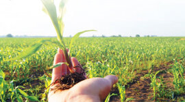 Timeline: LINEA DE TIEMPO DE LA AGRONOMIA