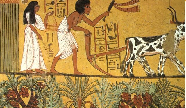 La agronomia no vino sola