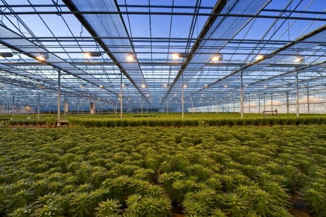 Se implementan mejores tecnicas en la agricultura