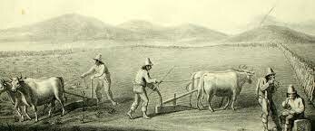 Despues de la revolucion neolitica