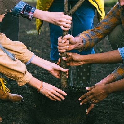 Timeline: RECOGIENDO SABERES EN TORNO A LA DIVERSIDAD