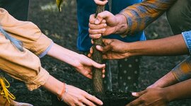 Timeline: RECOGIENDO SABERES EN TORNO A LA DIVERSIDAD