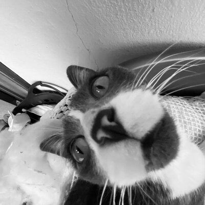 Timeline: Línea del tiempo Políticas y programas de alimentación y nutrición en México