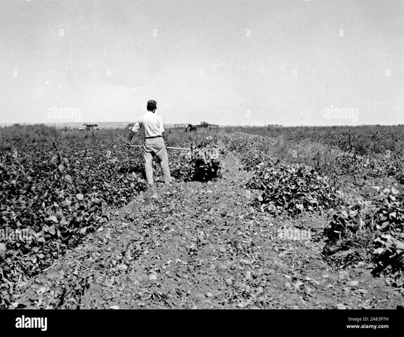 Subsidio a la producción