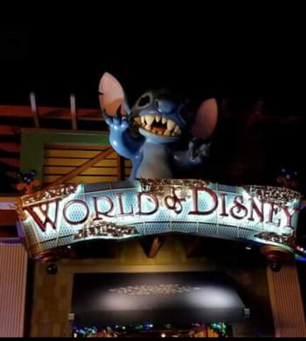 Went to Disney World