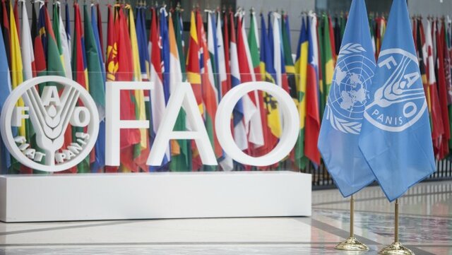 Organización de las Naciones Unidas para la Alimentación y la Agricultura (FAO)