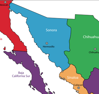 Organization of Militias