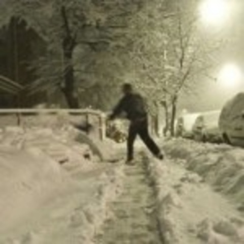 Luchejko v. City of Hoboken