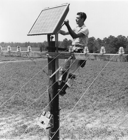 solar panels