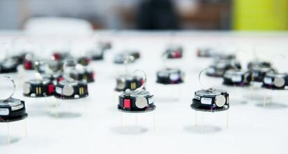 El cerebro como maquina