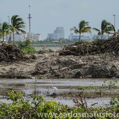 Timeline: Proyecto Tajamar