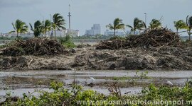 Timeline: Proyecto Tajamar