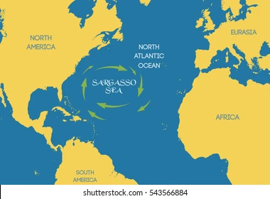 Mar dels Sargassos