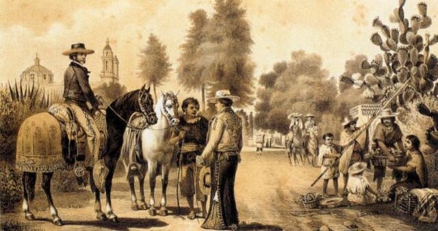 Convivencia con animales