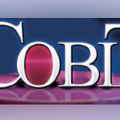 Timeline: COBIT