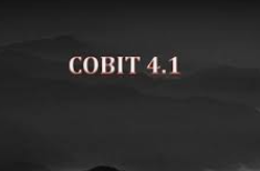 COBIT 4.1.4