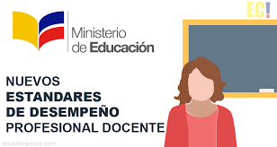 DESEMPEÑO PROFESIONAL